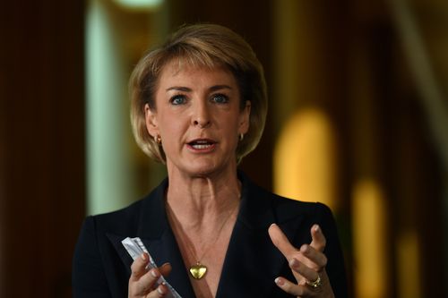 Minister for Employment Michaelia Cash at a press conference at Parliament House in Canberra.
