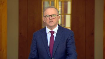 Anthony Albanese speaking to the media in Canberra