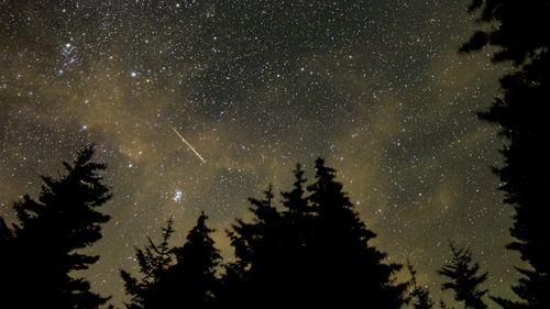 In this 30 second exposure, a meteor streaks across the sky during the annual Perseid meteor shower in Spruce Knob, West Virginia. 