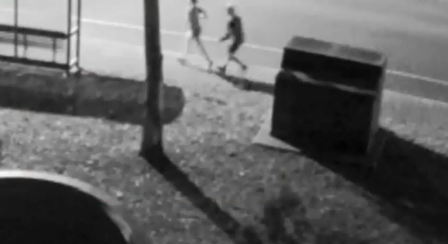 Police are appealing for help locating a man after a female jogger was attacked during an early morning run last week.