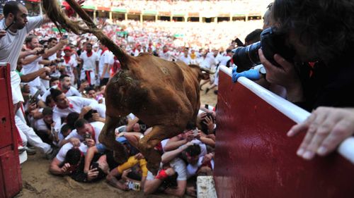 A heifer jumps over daredevils during the Pamplona 'Running of the Bulls'.