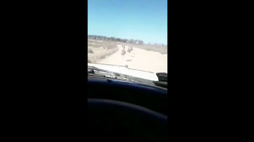 The man filmed himself laughing as he ran over and killed numerous emus on a dirt road.