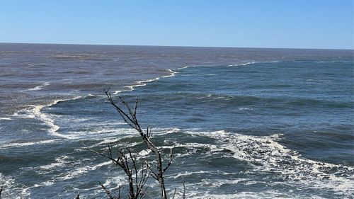 Floodwaters meet the ocean in Moruya on the NSW South Coast.