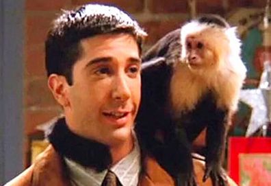 David Schwimmer and Capuchin monkey (Warner Bros)
