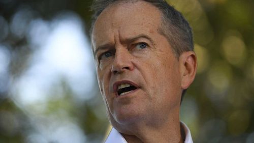 Bill Shorten has called Scott Morrison a 'coal-wielding, climate-denying cave-dweller'.