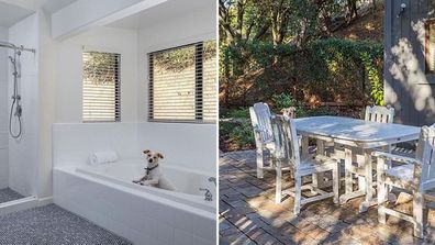 hilarious home listing features dog