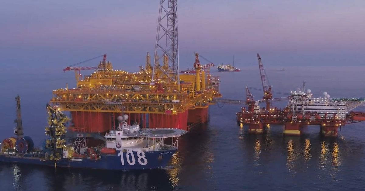 'We're talking about a few days': Experts send dire fuel crisis warning