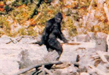 Which US state offers a US$3 million bounty for the capture of Big Foot?