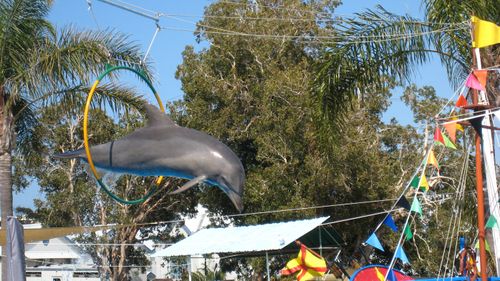 One of the dolphins gets put through his hoop at the Pet Porpoise Pool at Coffs Harbour in 2007. (AAP)