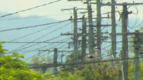 Heatwave in Brisbane leaves many without power.