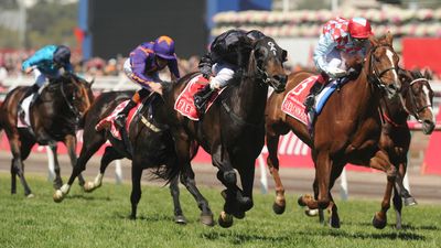 Fiorente (black) - 2013