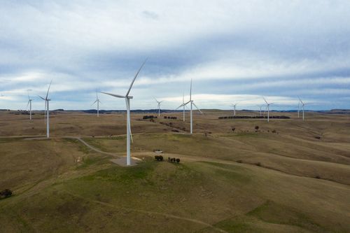 Generic Windfarm, agriculture, wind, renewable energy, on the sheep, cattle and wind farm of Deputy Chair of Farmers for Climate Action and Farmer Charlie Prell in Crookwell, NSW on June 23, 2021. Photo: Dominic Lorrimer