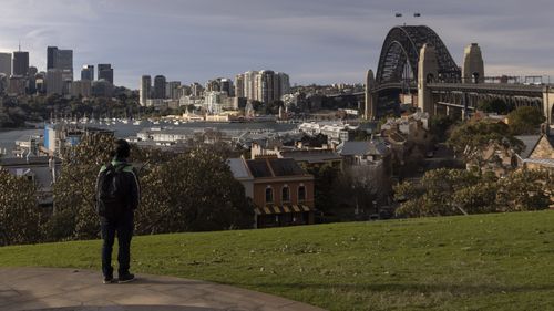 A person looks out over the Harbour Bridge from Observatory Hill in Sydney.