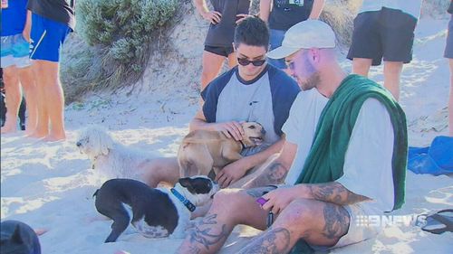 The West Coast Eagles put their pooches to the test to see who could be 'top dog'. (9NEWS)
