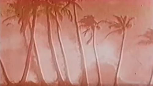 Palm trees on Bikini Atoll about to be vaporised by Castle Bravo blast.
 (YouTube).