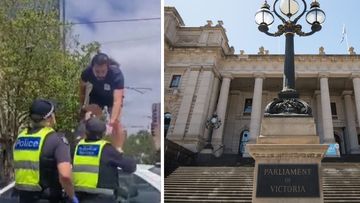 A man armed with a bow and arrow has been arrested outside Victorian Parliament house.