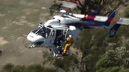 NSW RFS has trained an aerial response team. (9NEWS)