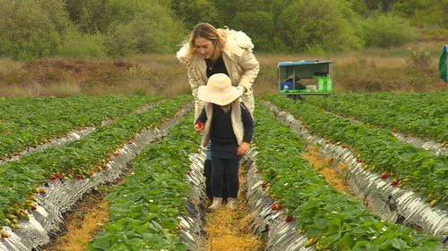 The Sherry family were among thousands of farmers left uncertain about their futures following the 'strawberry saga'.