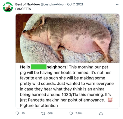 best of nextdoor twitter account shares hilarious neighbourhood drama from bad neighbours