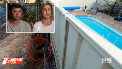 Aussie couple battles with council over tree root pool damage.