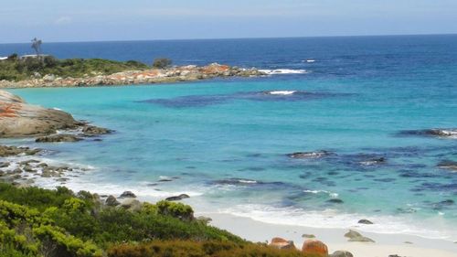 A man's body has been found in the search for a missing diver on Tasmania's east coast. Emergency services were contacted after 8pm yesterday after the man in his 30s did not return to the group he was diving with off The Gardens.