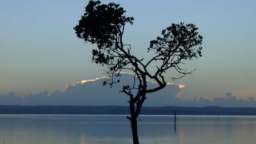 Petition calls for legalisation of Queensland nude beaches