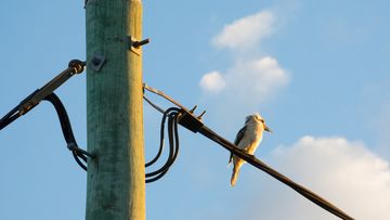 Power price relief on the way for older Australians