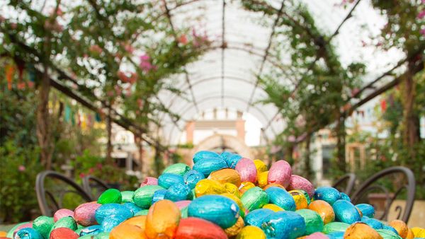 Easter eggs ready for the big hunt at The Grounds, Alexandria in Sydney