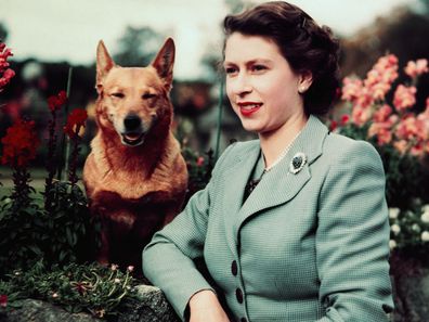 The Queen with a corgi in 1952