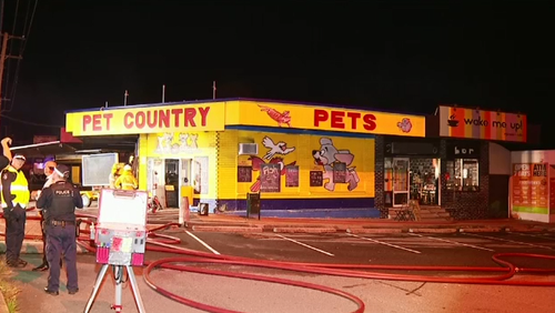 Fire tears through stores, kills several animals, south of Brisbane 