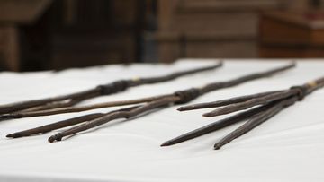Four Aboriginal spears that were brought to England by Captain James Cook more than 250 years ago and have now been repatriated to Australia in a ceremony at Trinity College in Cambridge, Tuesday April 23, 2024.  