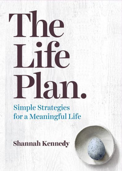 The Life Plan book cover