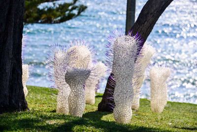 Cottesloe Sculptures by the Sea 15th Anniversary Exhibition