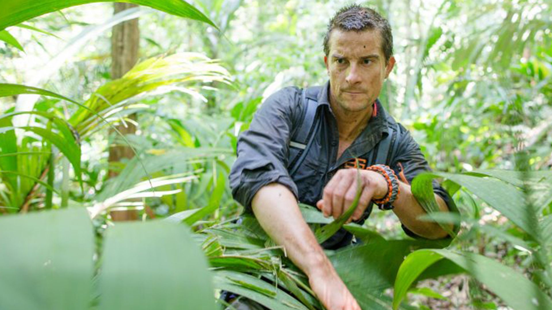 Watch Bear Grylls: Escape From Hell Season 1, Catch Up TV