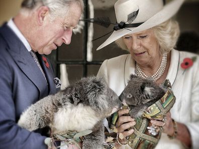 Camilla Duchess of Cornwall makes generous cash donation to Australian bushfires victims