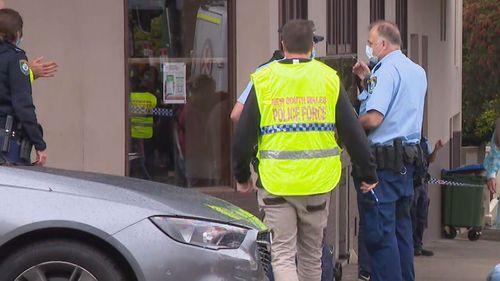 A woman died in Sydney this morning after being hit by a van.