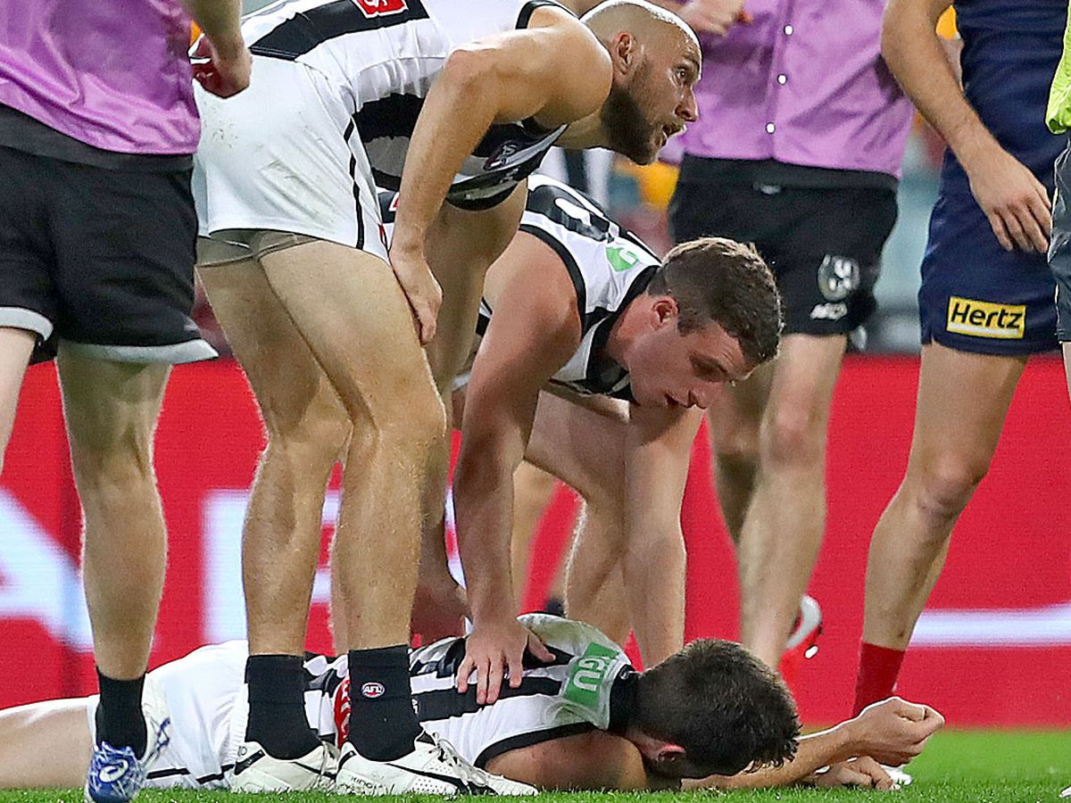 AFL news: Collingwood Magpies star Brody Mihocek stretchered off concussed,  Melbourne Demons, Aaron vandenBerg