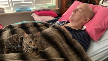 Mario the cat sits with Mr Boileau as he rests. He is in the end-stages of a cruel neurological disease. 