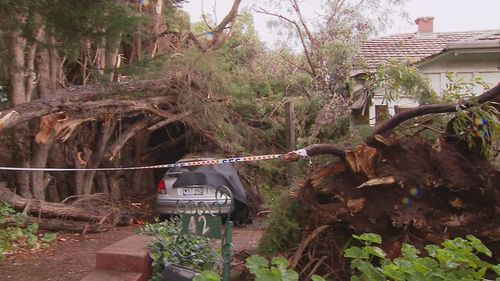 Wild weather is hitting South Australia, with dozens of calls for help overnight - and the fear more is yet to come.State emergency services have responded to more than 70 calls for help since midnight, and they're preparing for an even busier night ahead.
Ros, 70, from at Parkside in Adelaide had a tree came crashing down,  nearly wiping out her home.