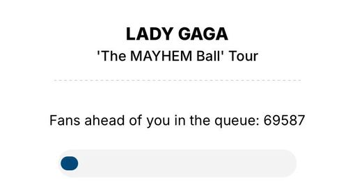 Fans were met with lengthy queues during the pre-sale events.