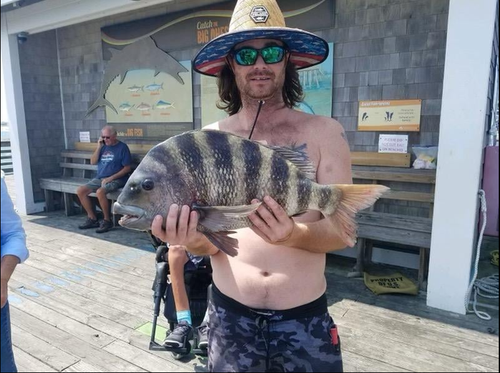 O peixe teria sido puxado pelo pescador local Nathan Martin. (Página do Facebook de Jeanette's Pier)