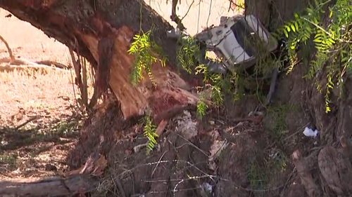 Two children are fighting for life, whilst the driver was seriously injured.