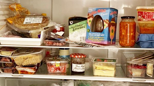 Shauna&#x27;s fridge feeds her three children, herself and two family dogs.
