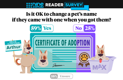 changing pets name after adoption reader survey graphic