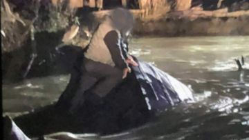 Two men have been rescued after driving into floodwater they thought was &quot;large puddle&quot; near Shepparton.