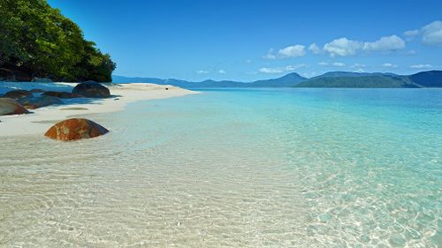 (Fitzroy Island Resort)