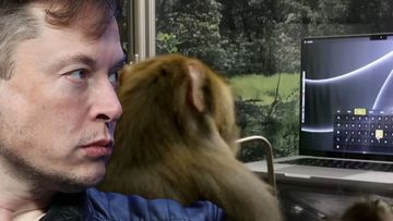 Elon Musk said the monkey can ask for snacks with its mind.
