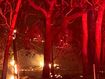 Bushfires burning in Victoria's west turn sky glowing red