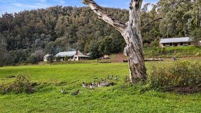 Coopers Creek pub Schitt's Creek town for sale