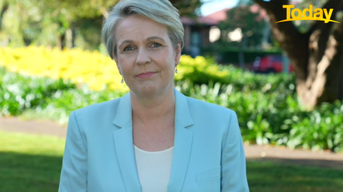 Tanya Plibersek said Labor's childcare policy would cost $5.4 billion. 